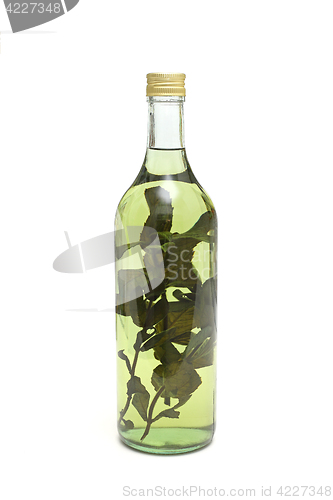 Image of Medical Herbs Liqueur