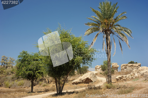 Image of Park of Ashkelon in Israel