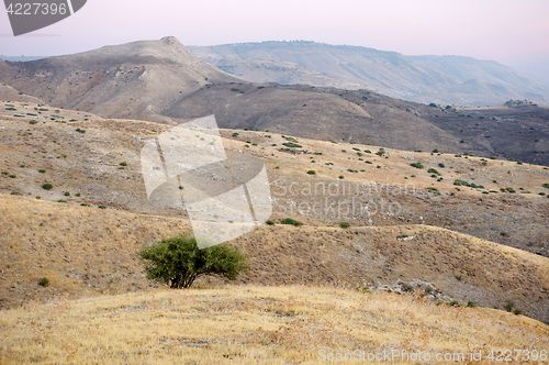 Image of Slopes of the Golan Heights