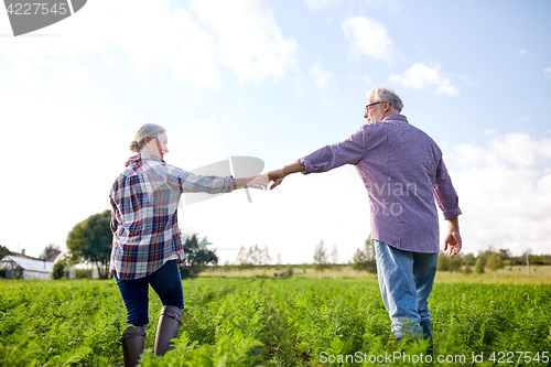 Image of happy senior couple holding hands at summer farm