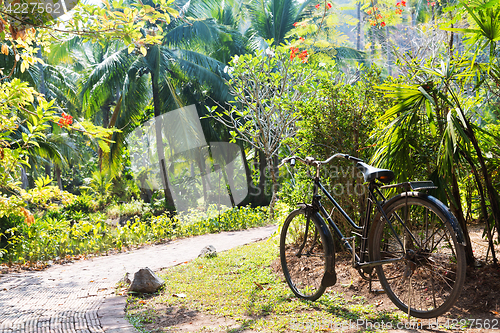 Image of bicycle parked and path at exotic summer park