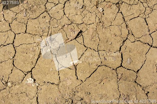 Image of Dry Cracked ground and leaves as nature background