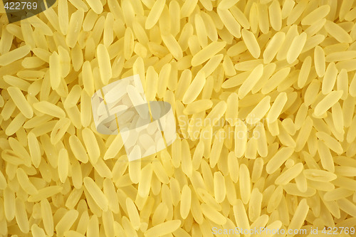 Image of Uncooked Rice