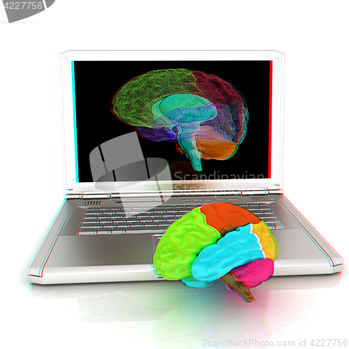 Image of creative three-dimensional model of real human brain and scan on