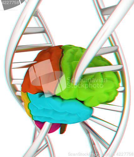 Image of Brain and dna. 3d illustration. Anaglyph. View with red/cyan gla