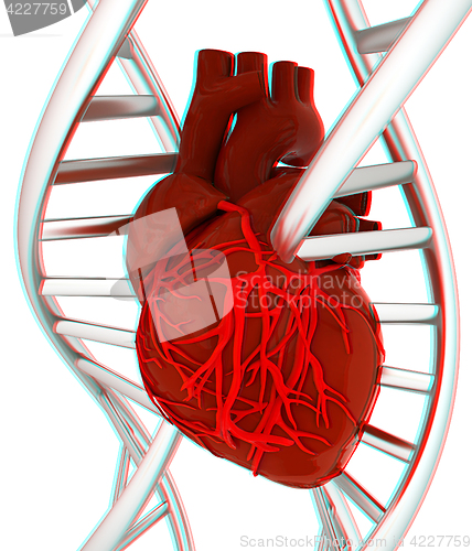 Image of DNA and heart. 3d illustration. Anaglyph. View with red/cyan gla