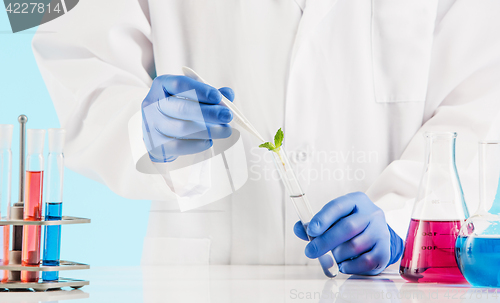 Image of Plant sciences in lab