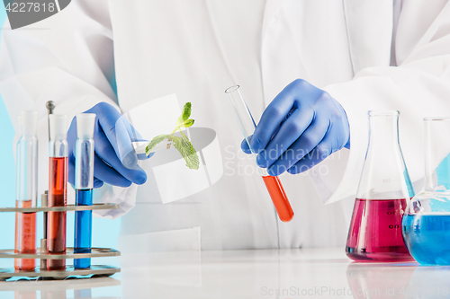 Image of Plant sciences in lab