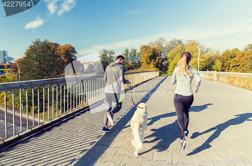 Image of close up of couple with dog running outdoors