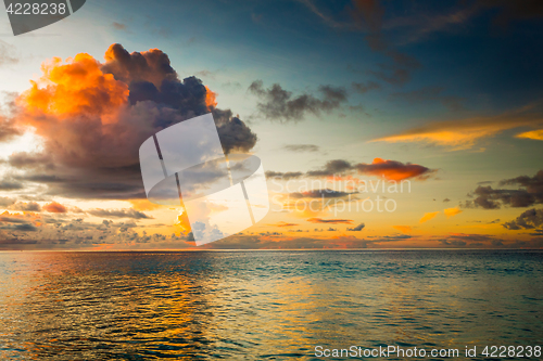 Image of Tropical beach 