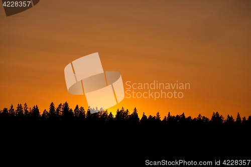 Image of Sunset over trees