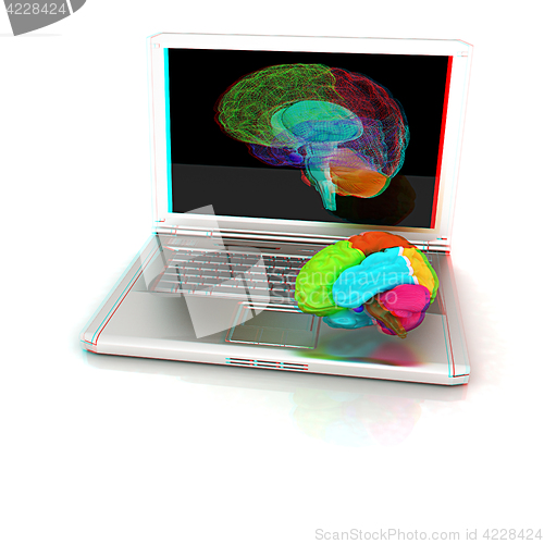 Image of creative three-dimensional model of real human brain and scan on