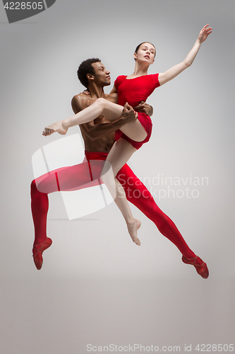 Image of Couple of ballet dancers posing over gray background