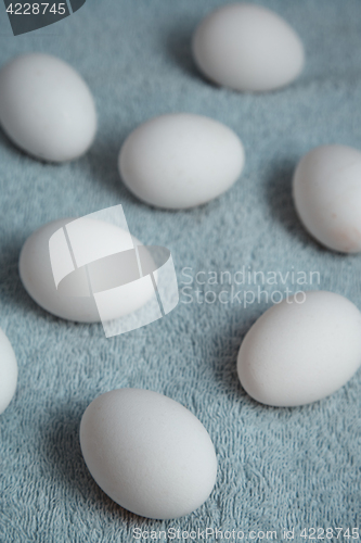 Image of Chicken eggs on a fiber