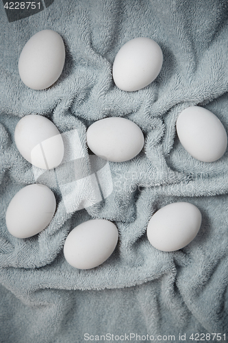 Image of Chicken eggs on a fiber