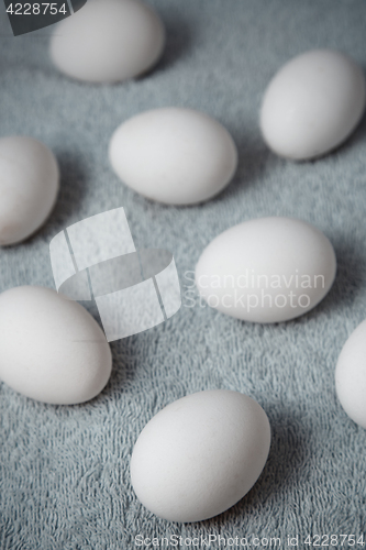 Image of Chicken eggs on a fiber