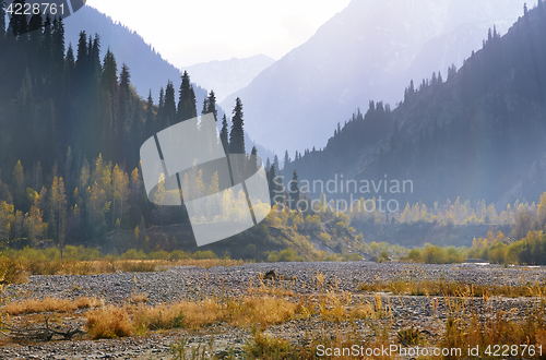 Image of View on trees and mountains in Issyk area