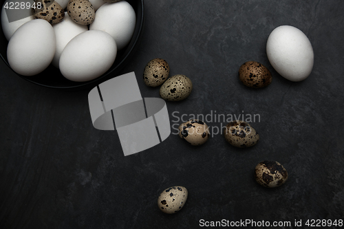 Image of Quail and chicken eggs on a table