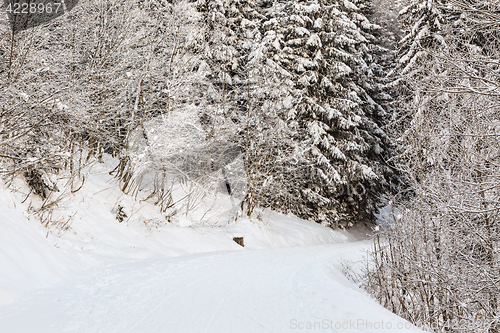 Image of Winter Footpath