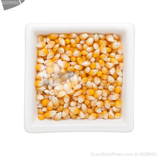 Image of Raw corn kernels