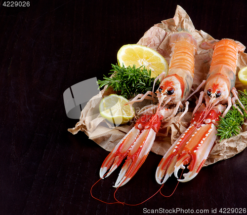 Image of Delicious Raw Langoustines