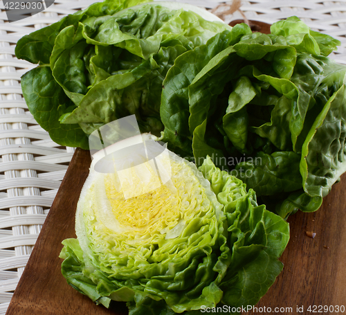 Image of Fresh Romaine Lettuce