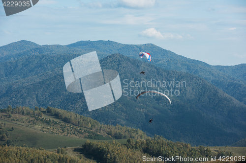 Image of Paragliding in mountains