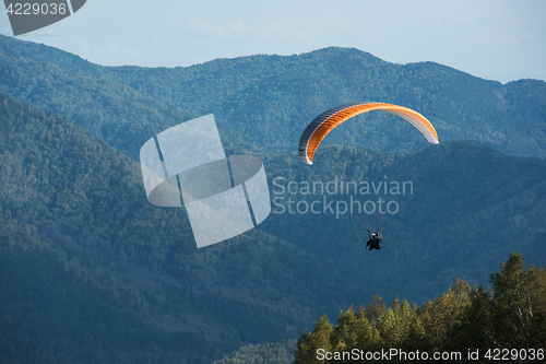 Image of Paragliding in mountains