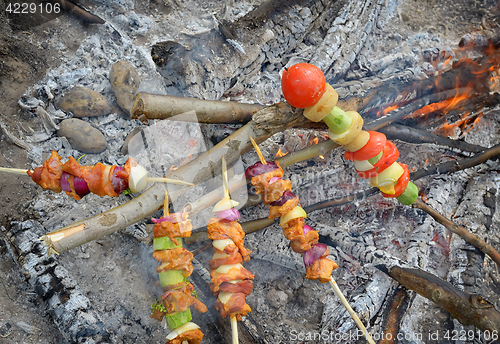 Image of Stick of barbeque roasting