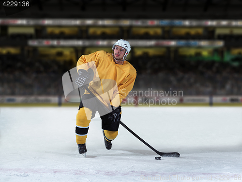 Image of ice hockey player in action