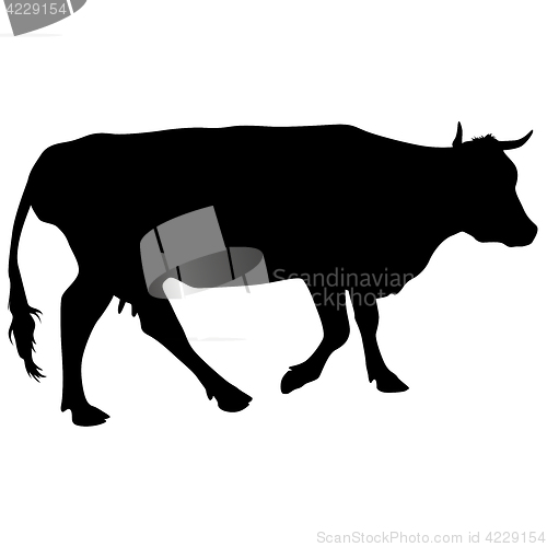 Image of Black silhouette of cash cow on white background