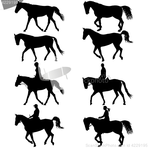 Image of Set silhouette of horse and jockey