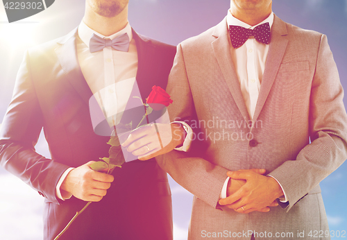 Image of close up of happy male gay couple holding hands