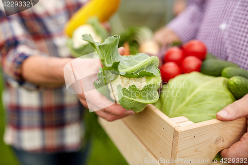 Image of senior couple with box of vegetables on farm