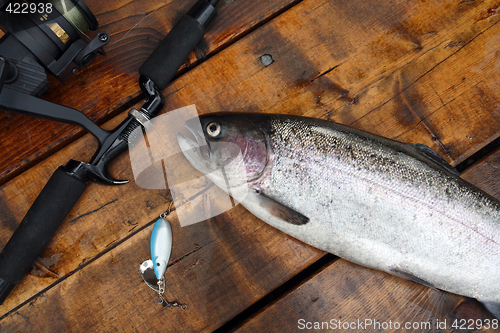 Image of Freshly caught salmon lying on the fotbridge with fishing rod