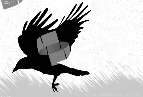 Image of Crow silhouette