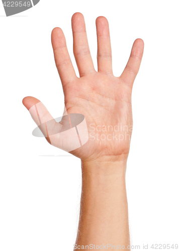 Image of Man hand sign