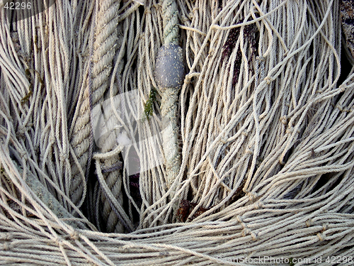 Image of Fish Nets