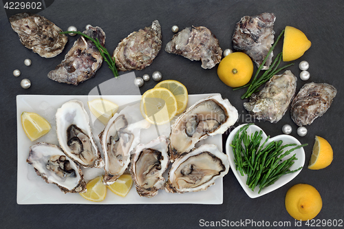 Image of Oysters and Pearls