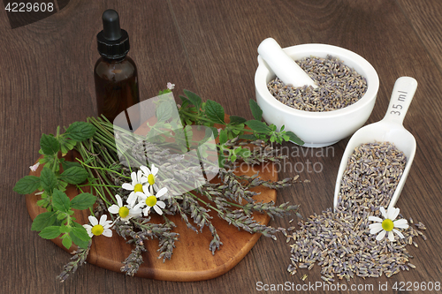 Image of Natural Herbal Medicine