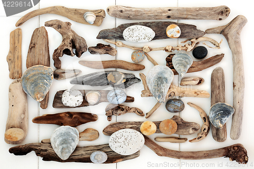 Image of Natural Driftwood, Seashell and Rock Abstract
