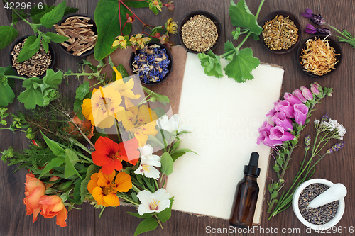 Image of Naturopathic Flowers and Herbs