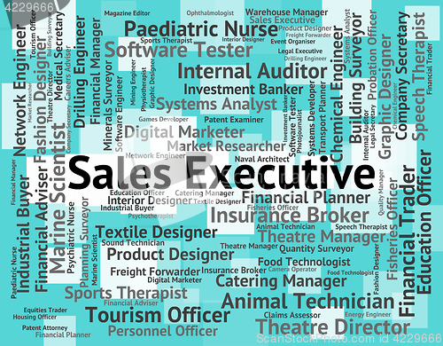 Image of Sales Executive Means Director General And Md