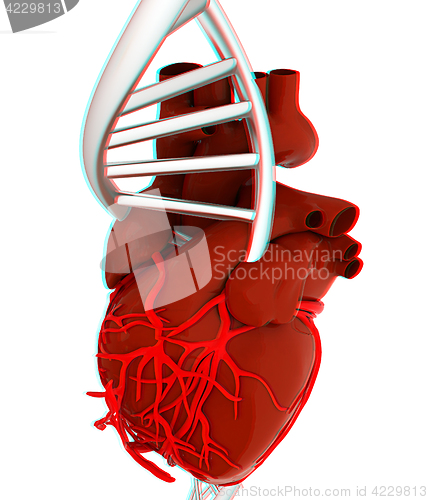 Image of DNA and heart. 3d illustration. Anaglyph. View with red/cyan gla