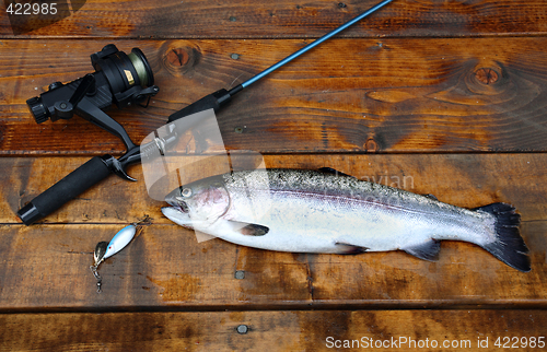 Image of Freshly caught salmon lying on the footbridge with fishing rod