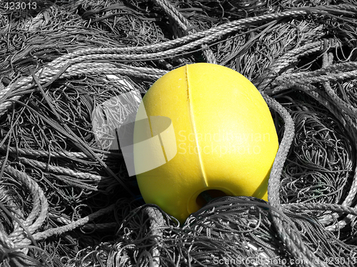 Image of yellow buoy and ropes