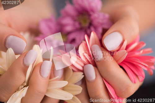 Image of woman hands with manicure holding flower