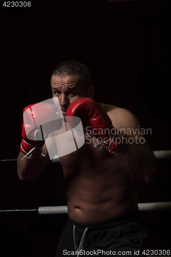 Image of professional kickboxer in the training ring