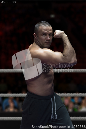 Image of professional kickboxer in the training ring