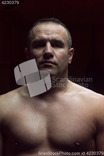 Image of portrait of muscular professional kickboxer